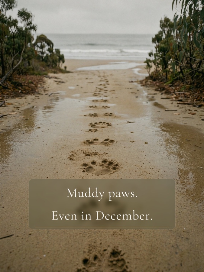 Muddy paws. Even in December.