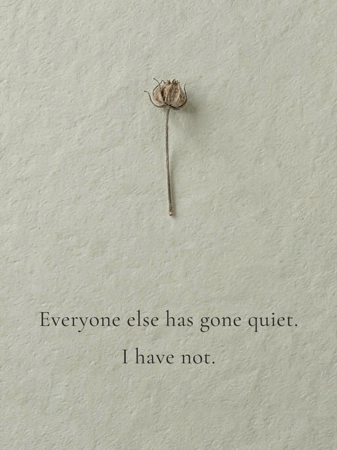 Everyone else has gone quiet. I have not.