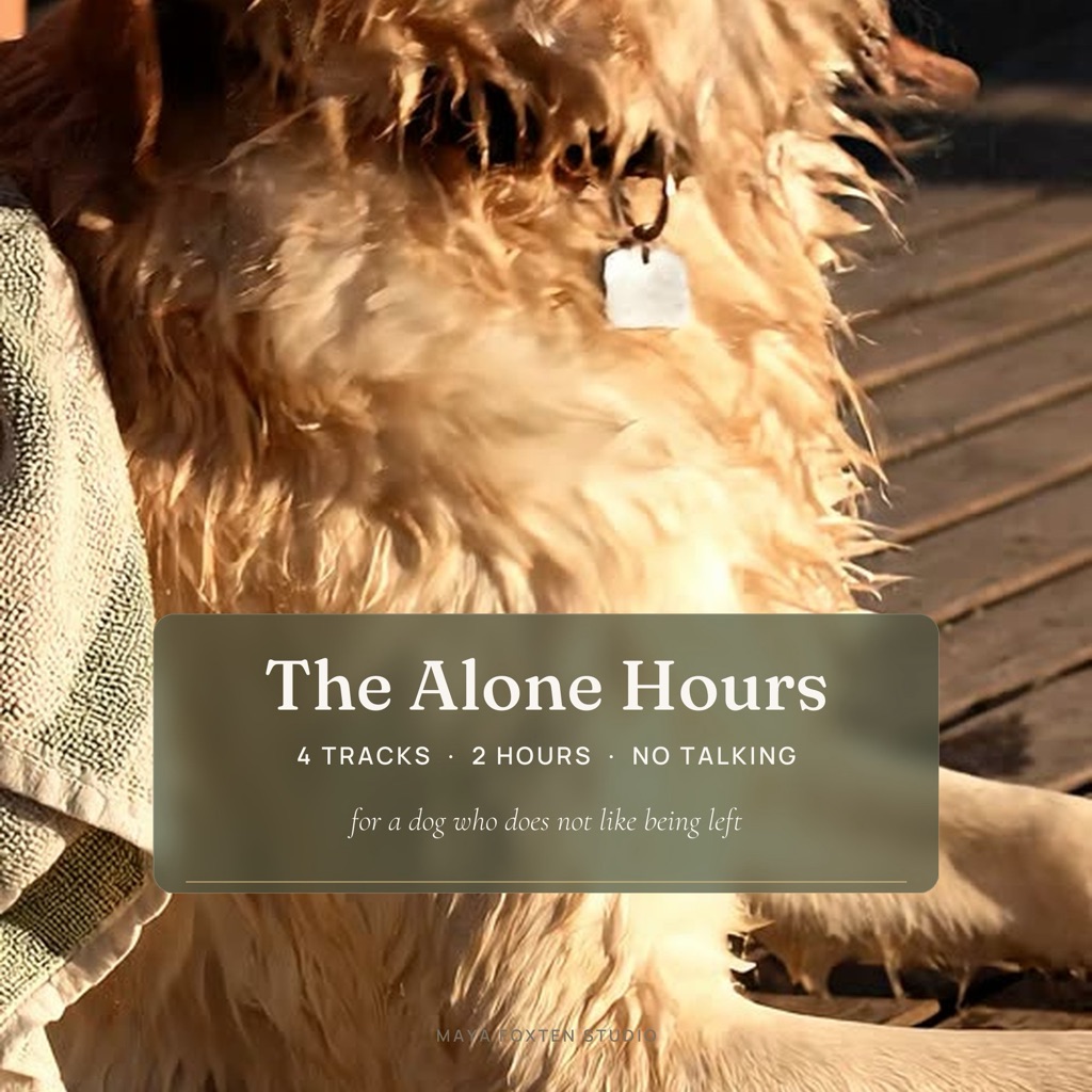 The Alone Hours, two hours of calming music for a dog left at home